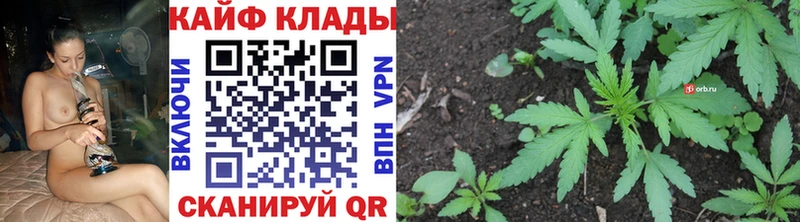 Хочу наркоту Ядрин ГАШ  БУТИРАТ  Альфа ПВП  Бошки Шишки  Меф  КОКАИН 