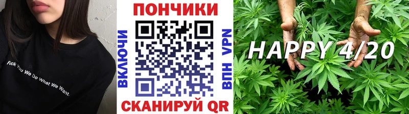 МЕГА маркетплейс  Ядрин  Канабис гибрид 
